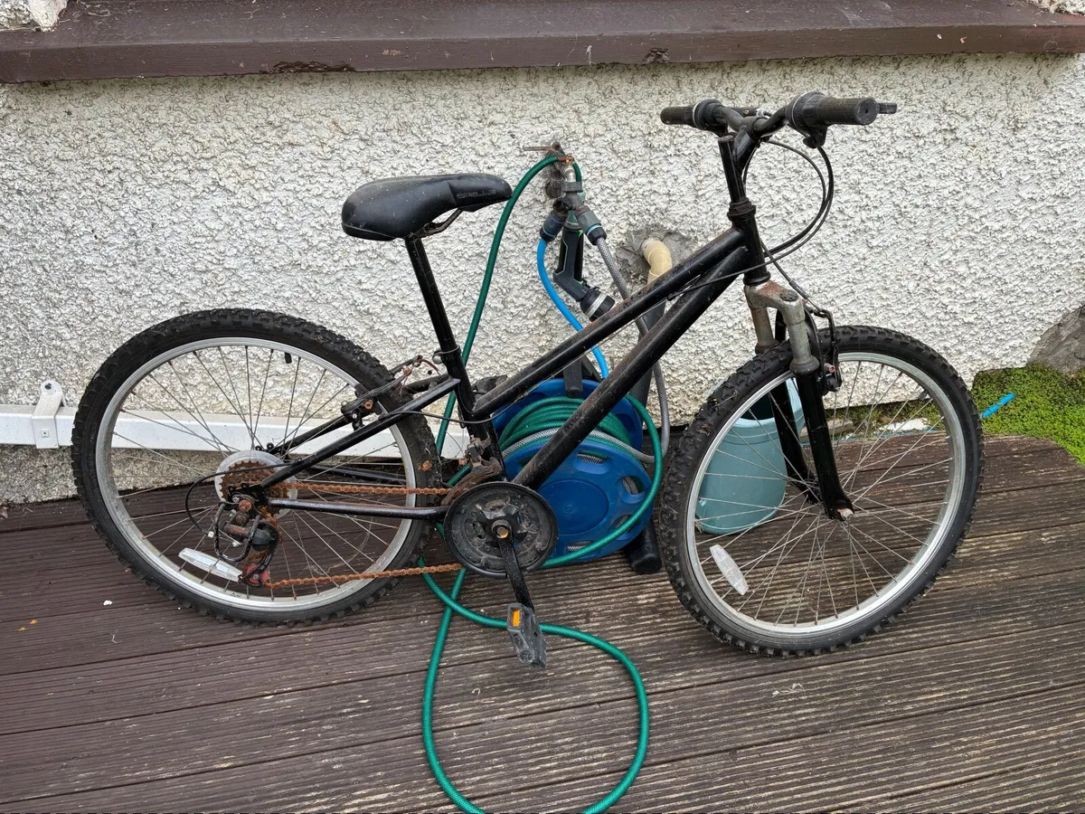 Bicycle - Image 1