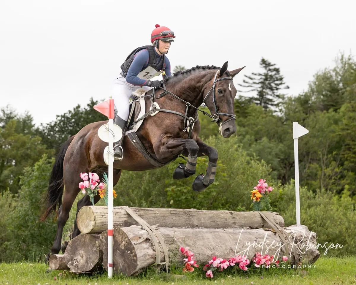 EI100 + horse - Image 2