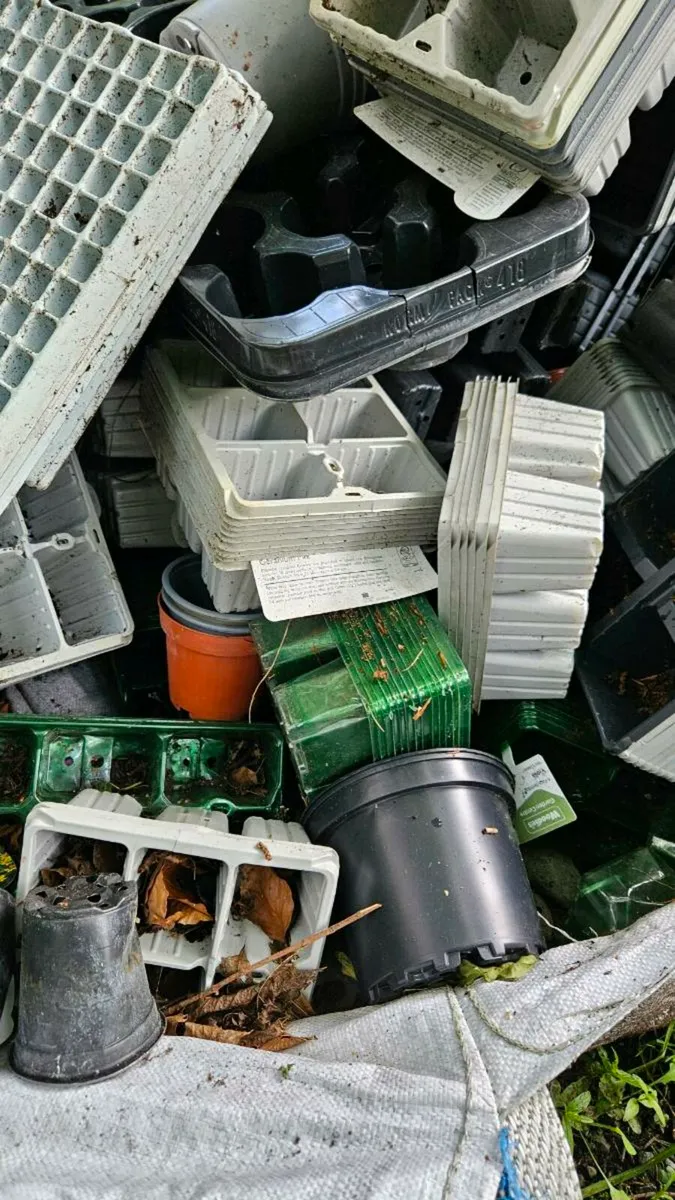 Empty Pots And Trays FREE - Image 1