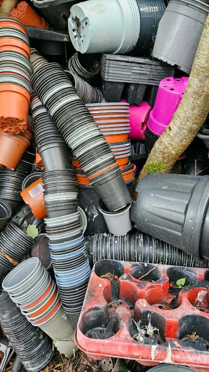 Empty Pots And Trays FREE - Image 2