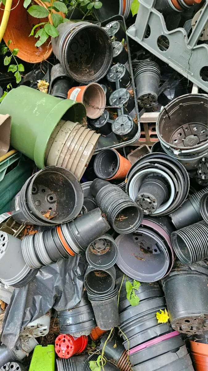Empty Pots And Trays FREE - Image 3