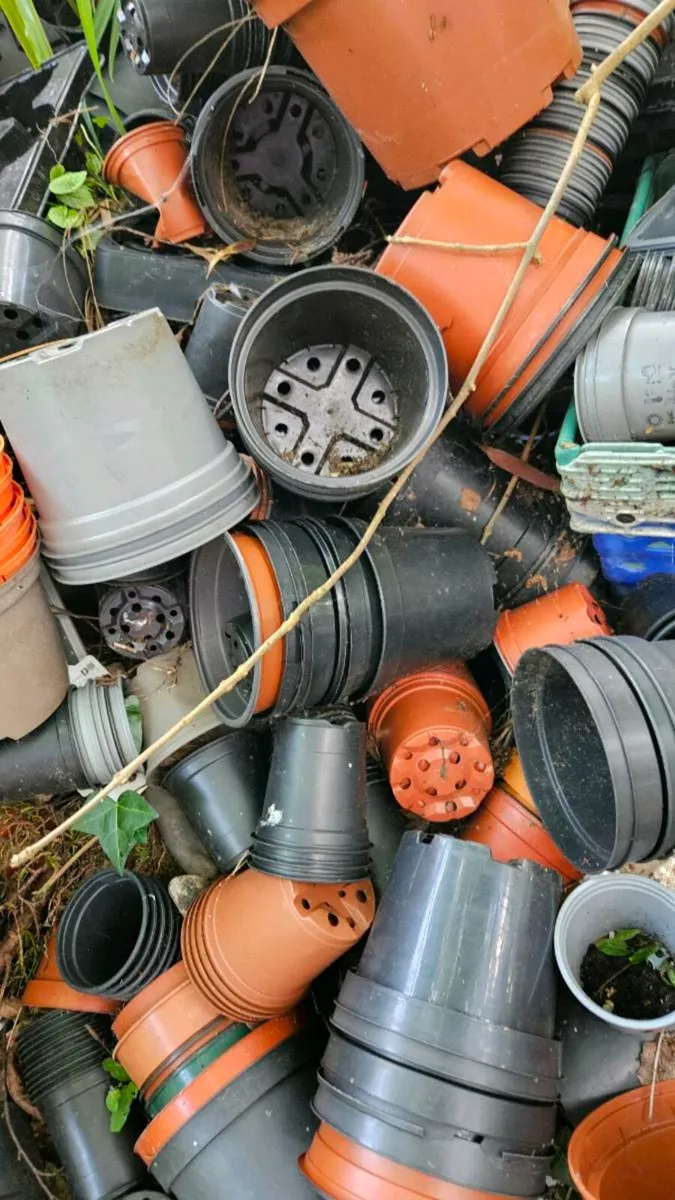 Empty Pots And Trays FREE - Image 4