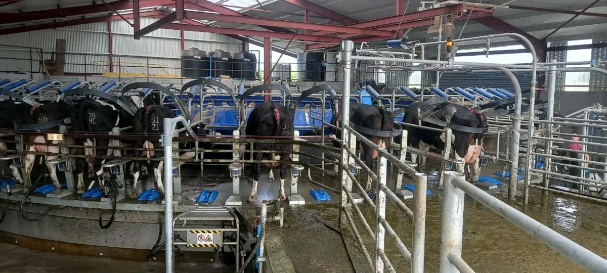 Herdsperson required - Image 1