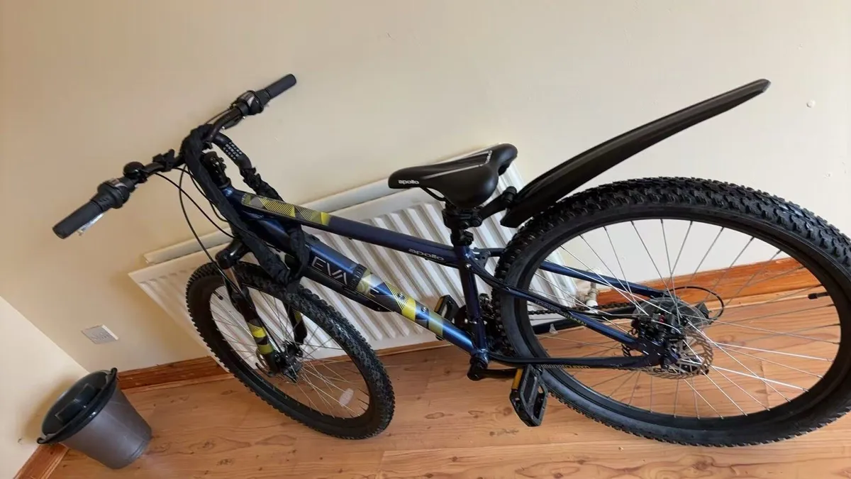 adult bike