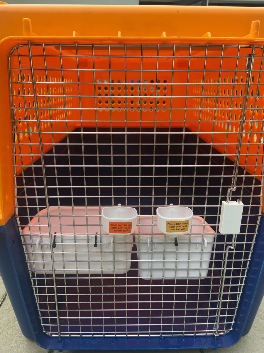Travel Crate / Training Crate - Image 1