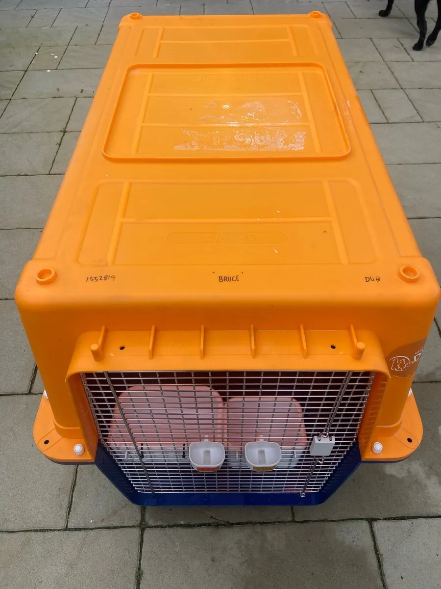 Travel Crate / Training Crate - Image 2