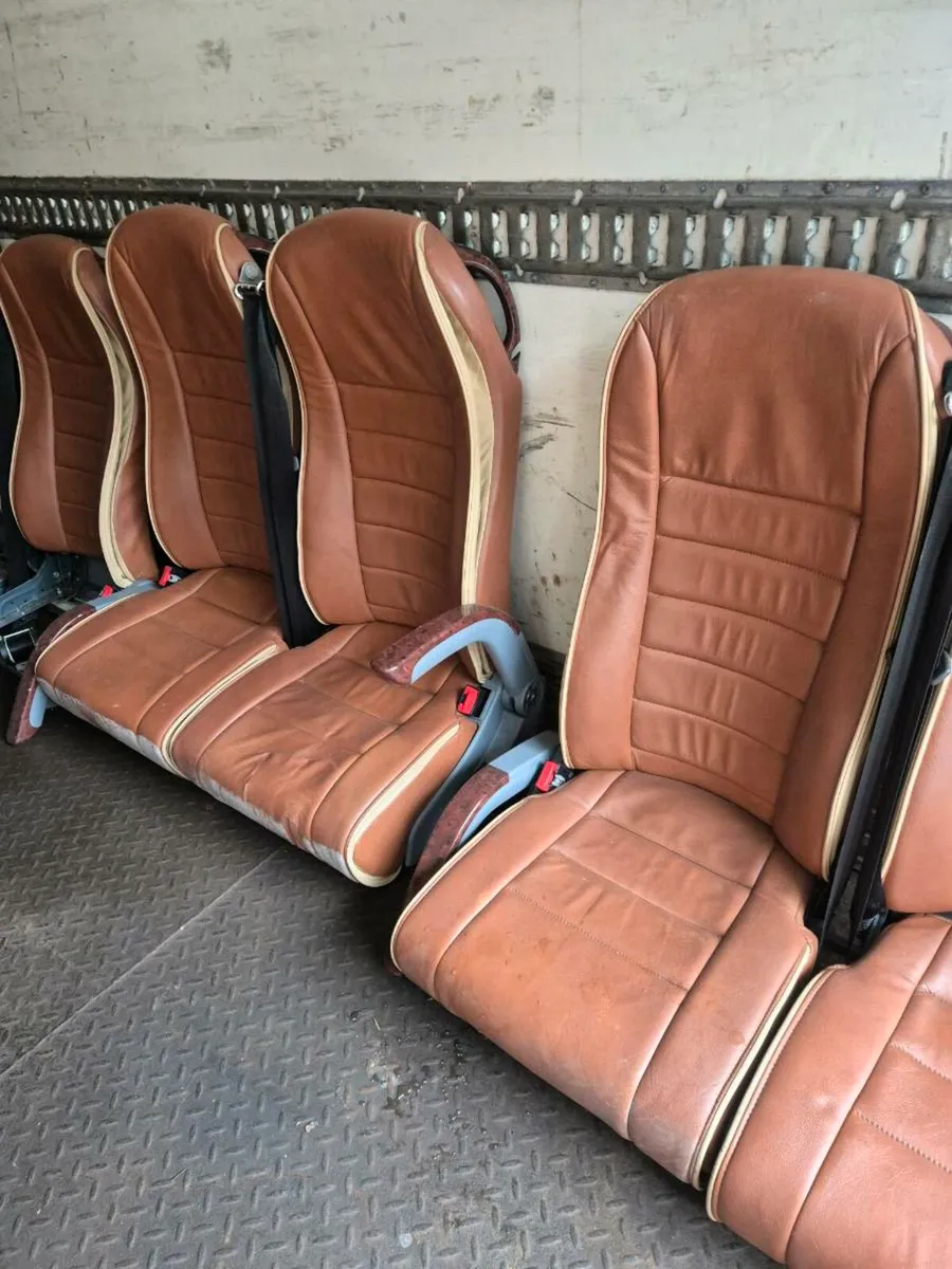 Buses - Image 1
