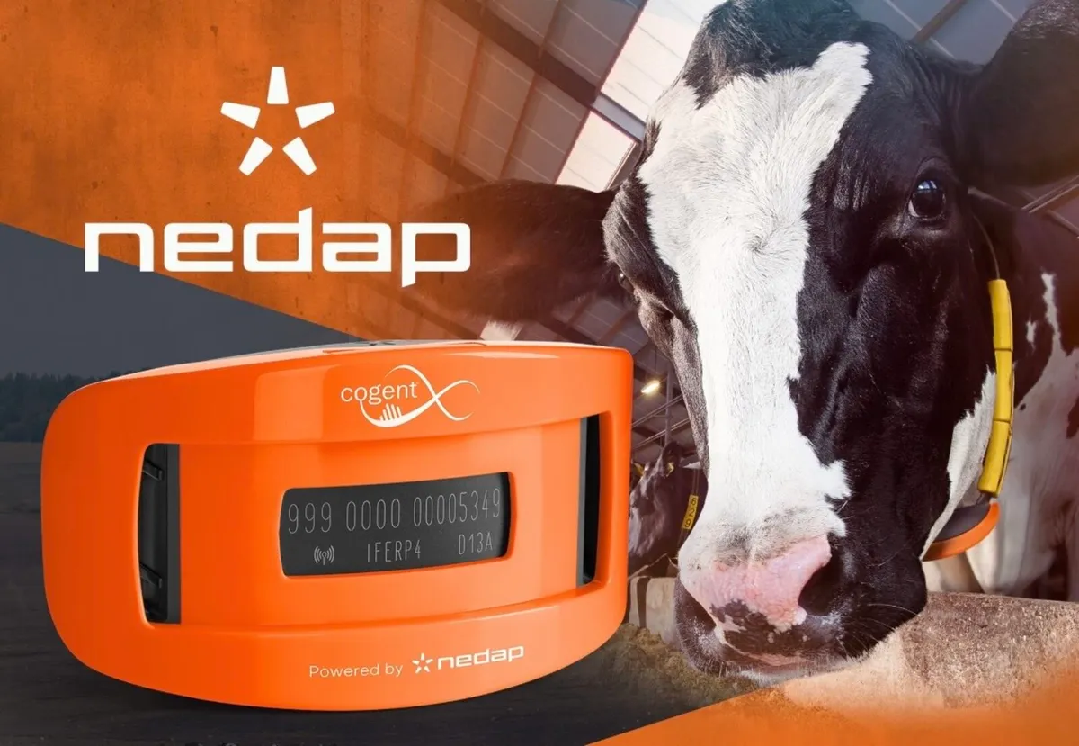 2nd Hand Nedap Heat Detection Collar System