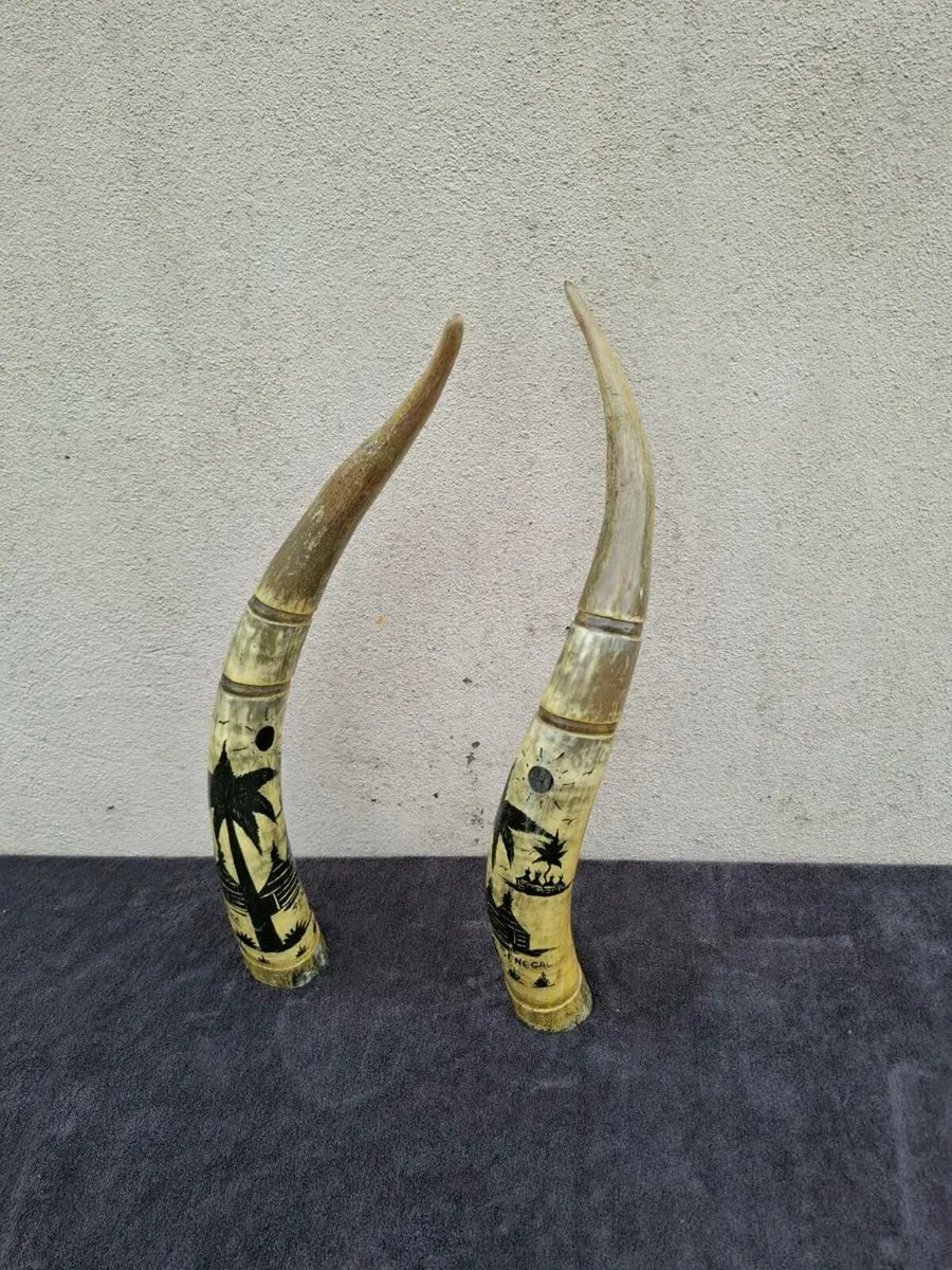 African horn possible to post - Image 1