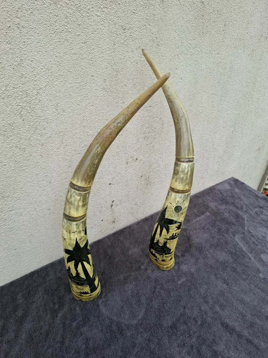 African horn possible to post - Image 2
