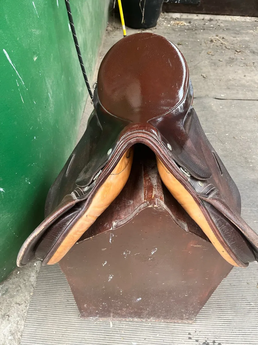 Saddle - Image 1