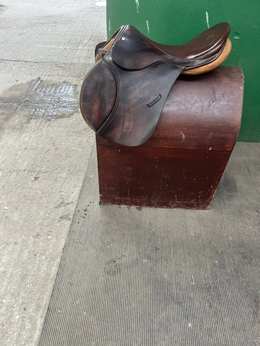 Saddle - Image 2