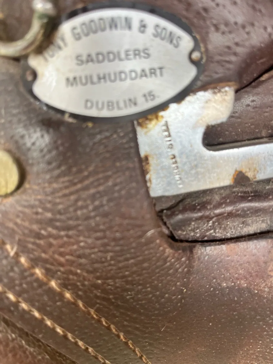Saddle - Image 3
