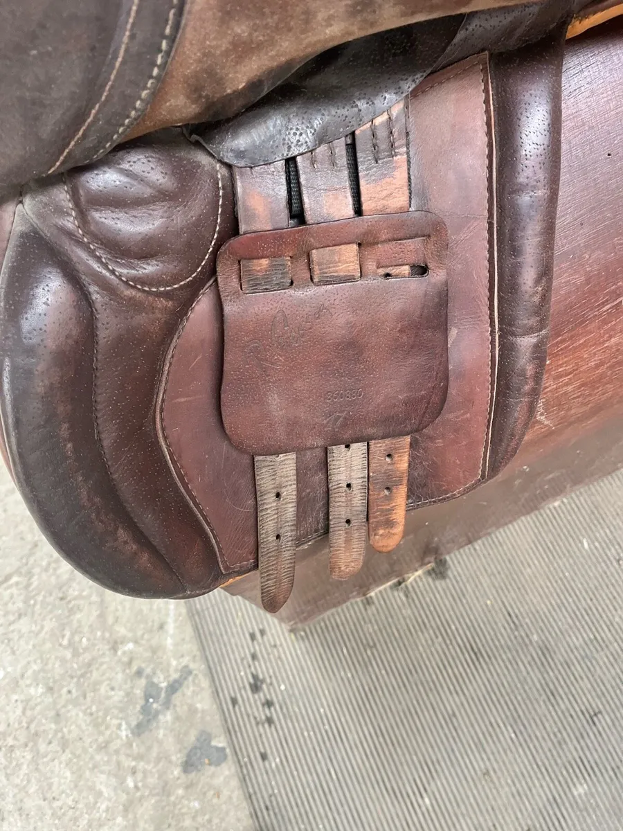 Saddle - Image 4