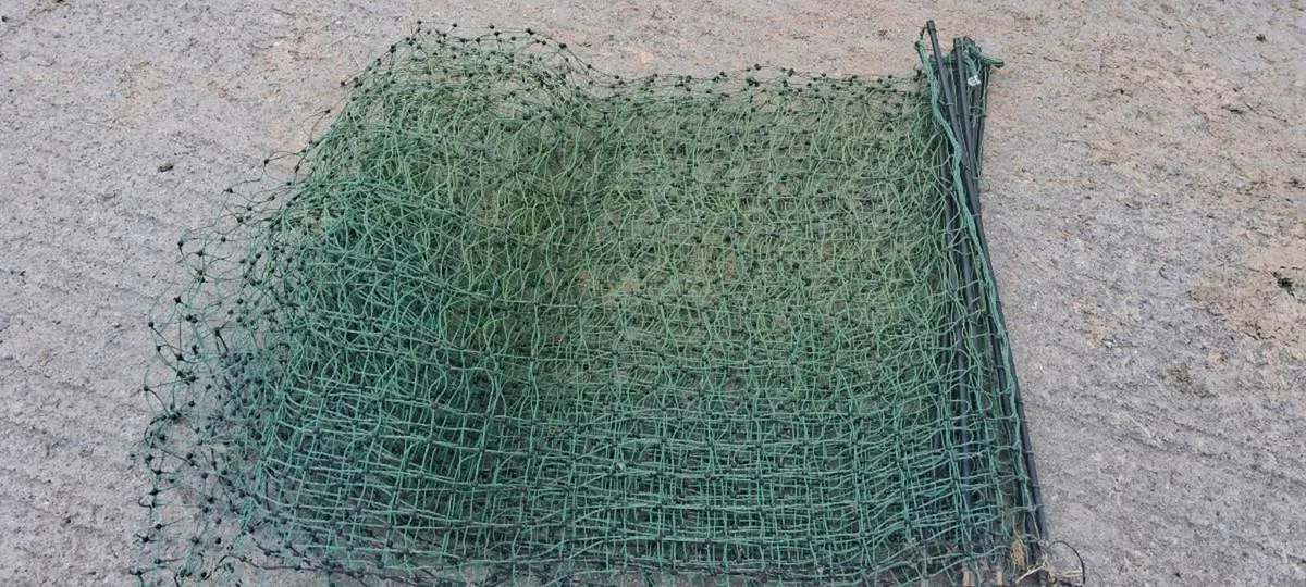 Electric poultry net
