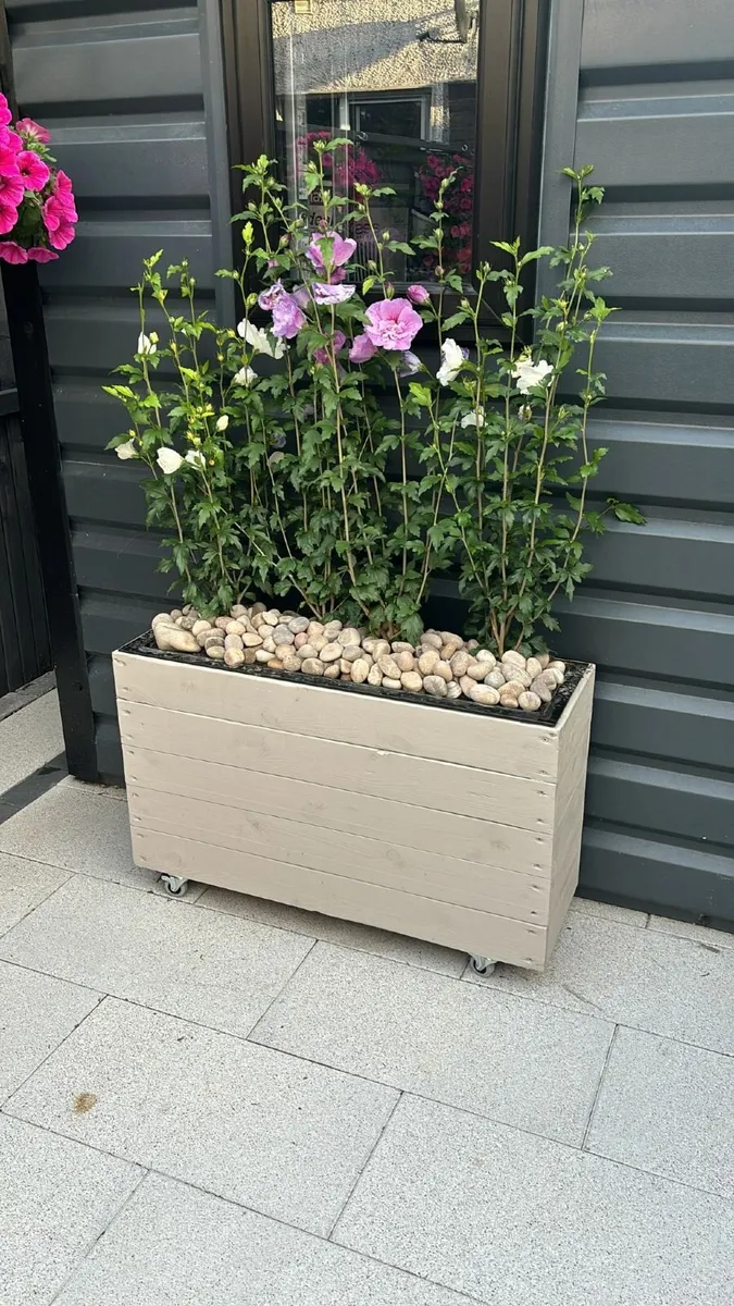 Small Outdoor Wooden Planters - Image 1