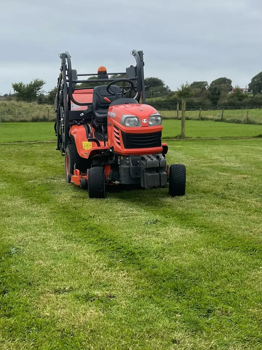 Grass cutting timber work hedge trimming - Image 3