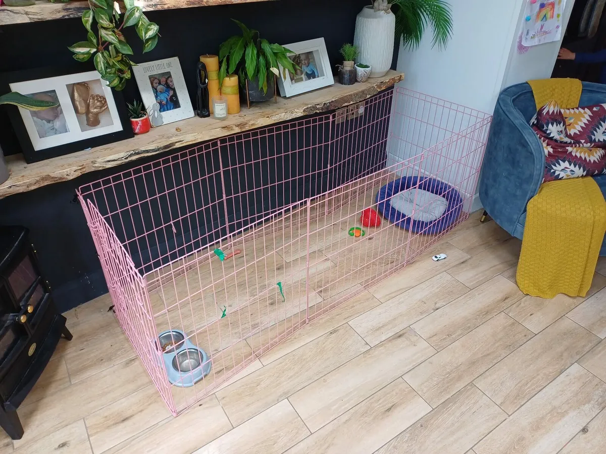 Dog pen/cage