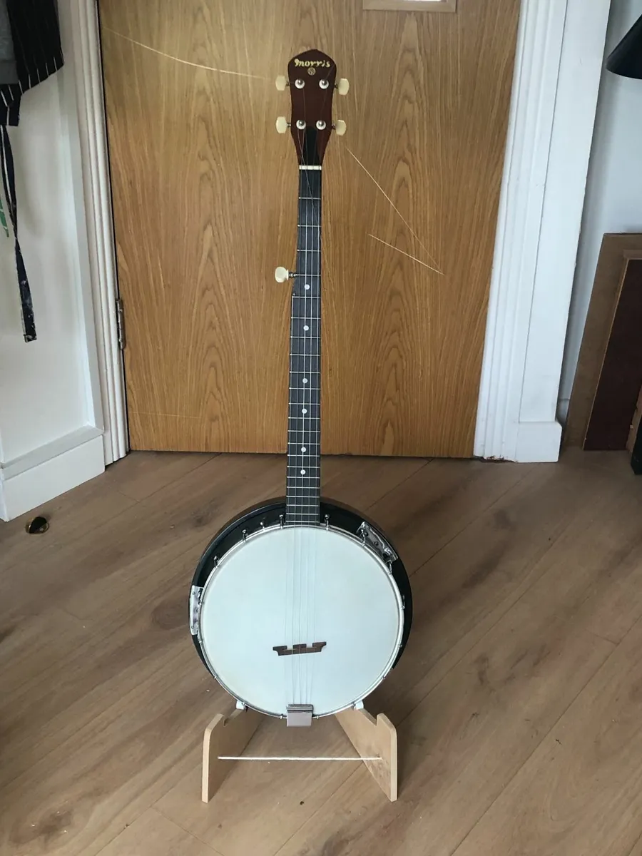5 String Banjo