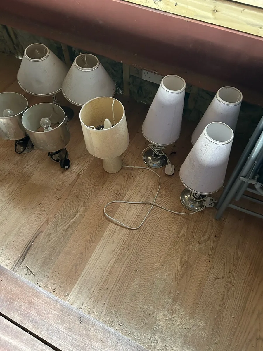 Selection of Lamps - Image 2