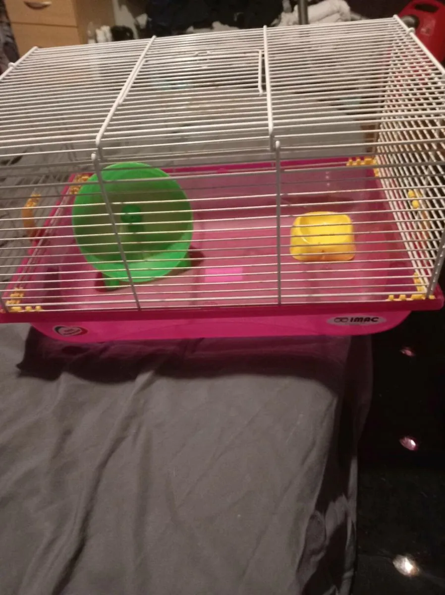 Hamster Cage