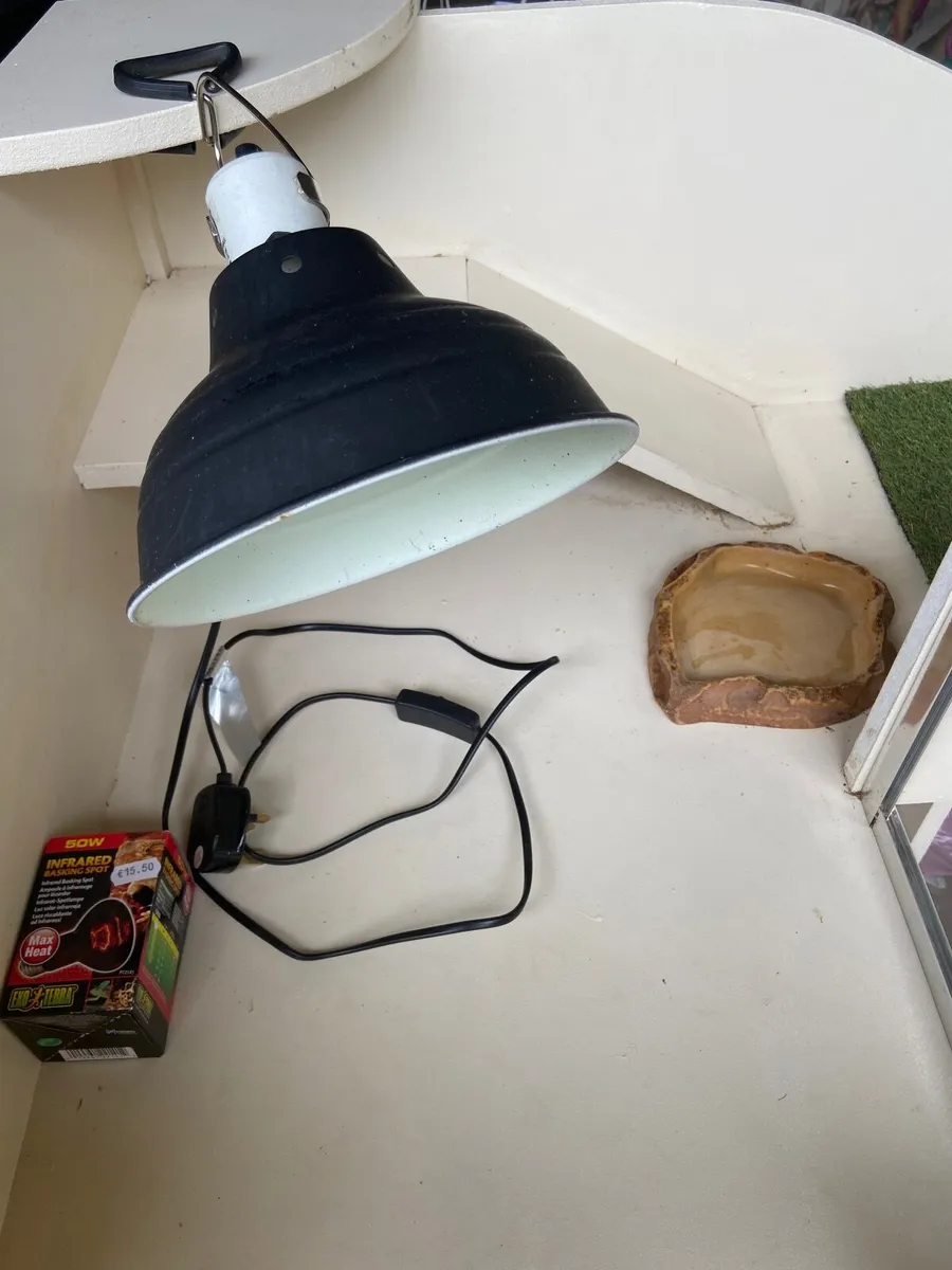Tortoise enclosure - Image 4