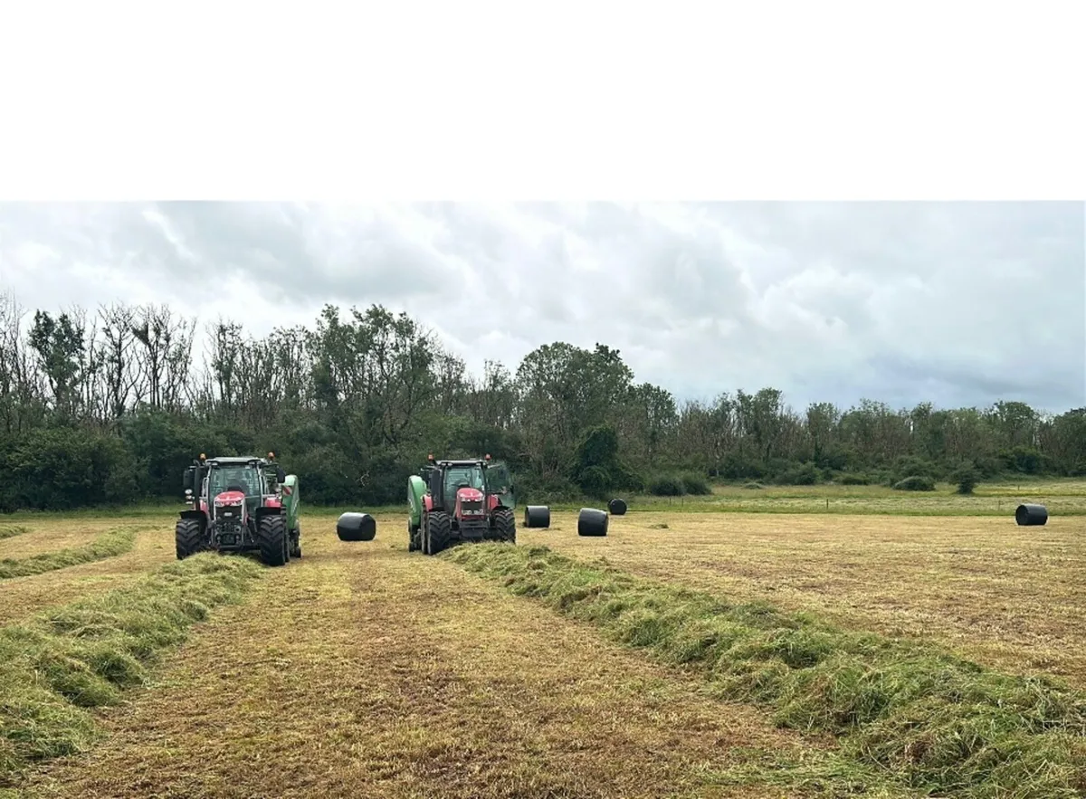 Silage Bales - Image 3
