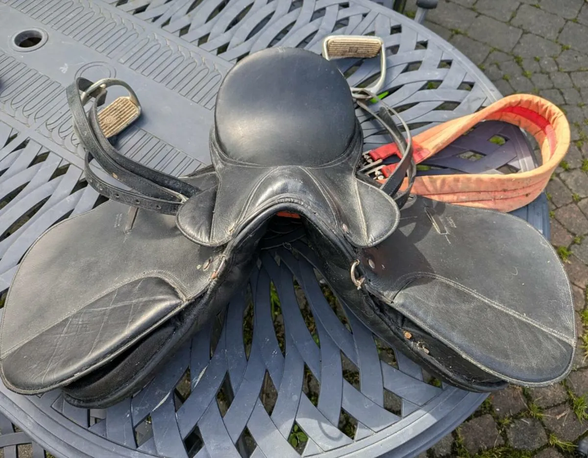 Saddles - Image 1
