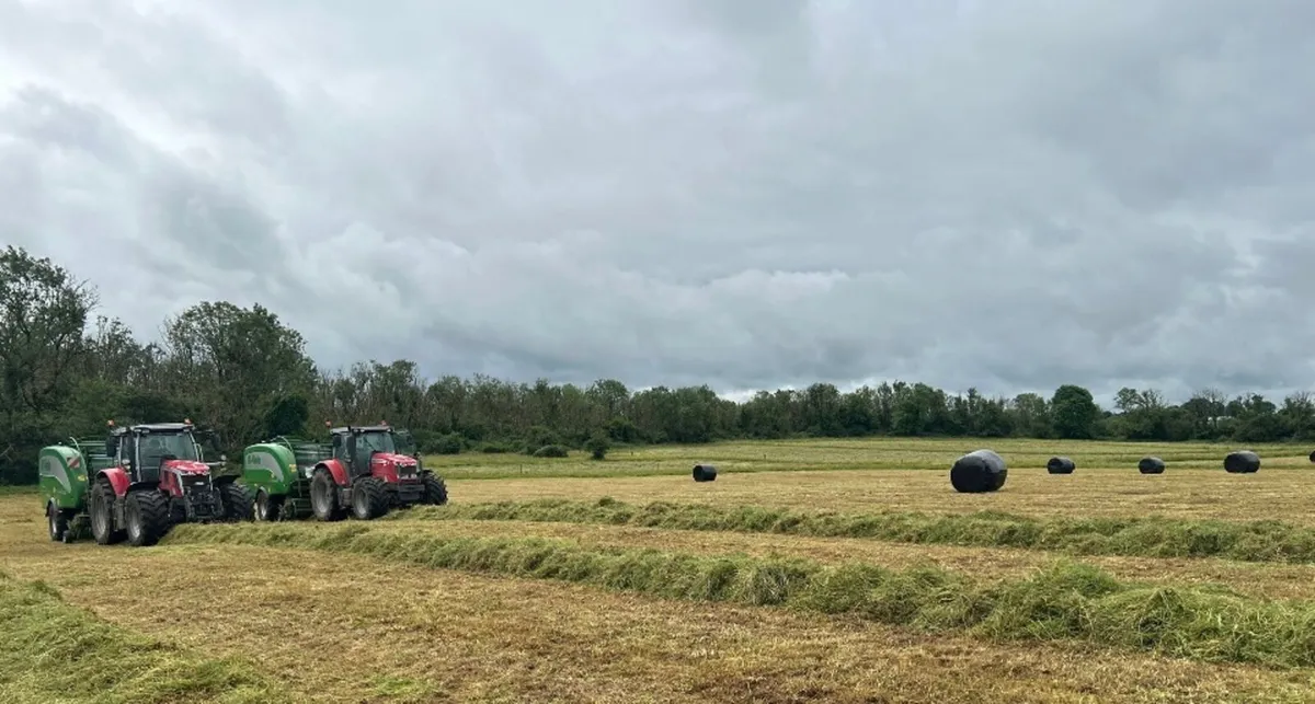 Silage Bales - Image 4