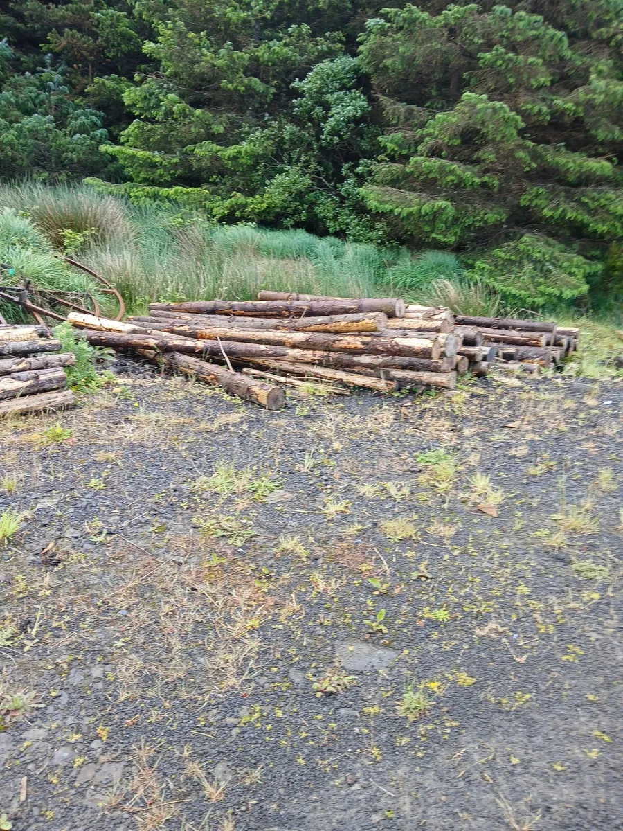 Firewood - Image 1