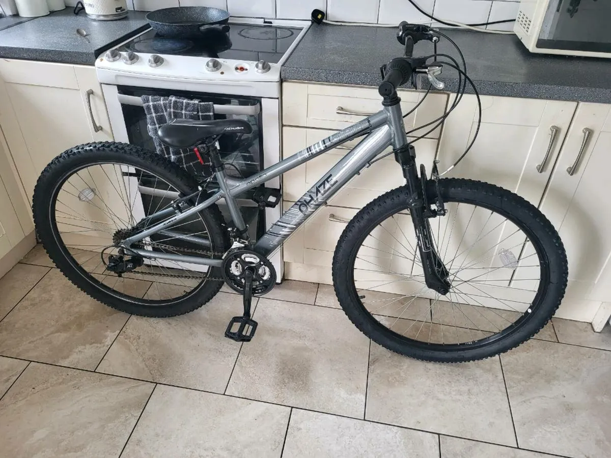 mountain bike - Image 1