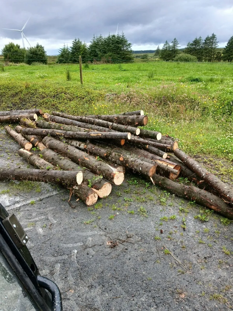 Firewood - Image 4