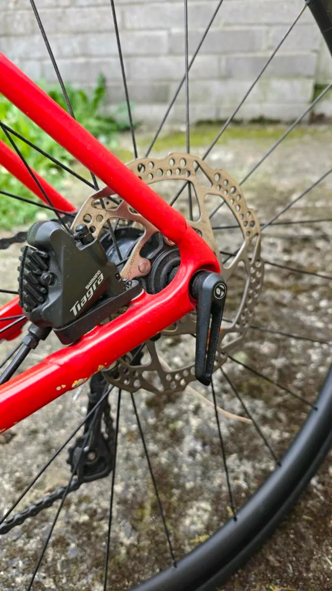 TREK ÉMONDA 4 - Image 2