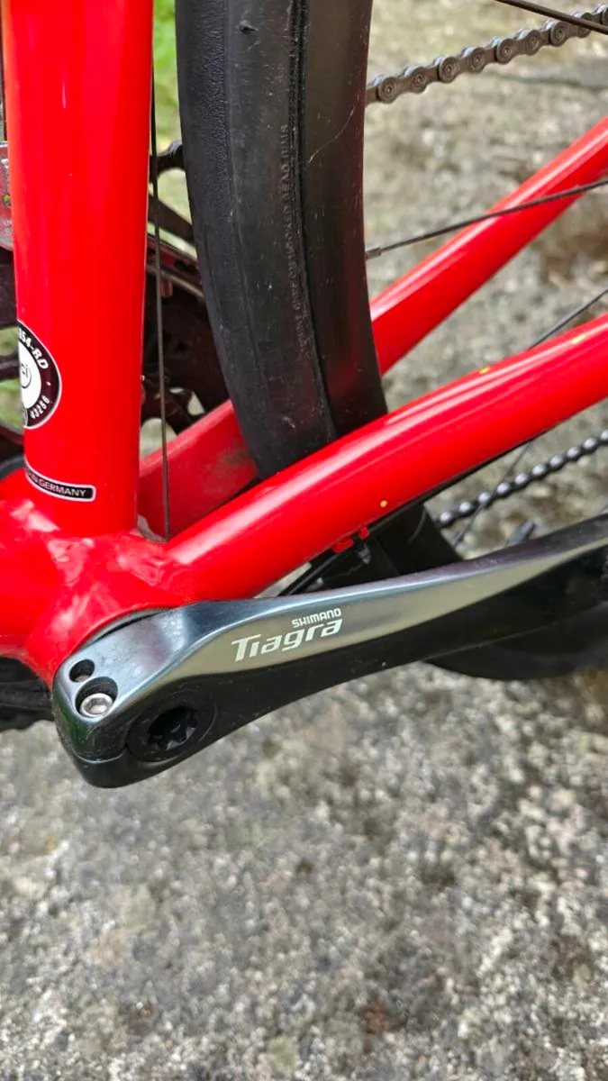 TREK ÉMONDA 4 - Image 3