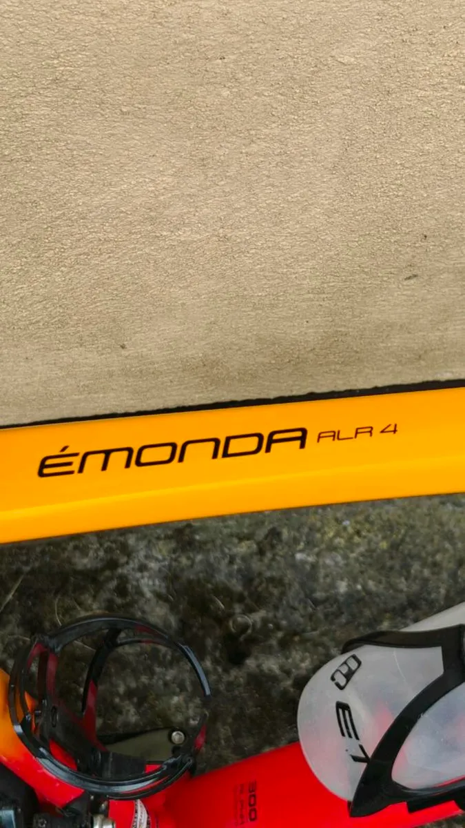 TREK ÉMONDA 4 - Image 4