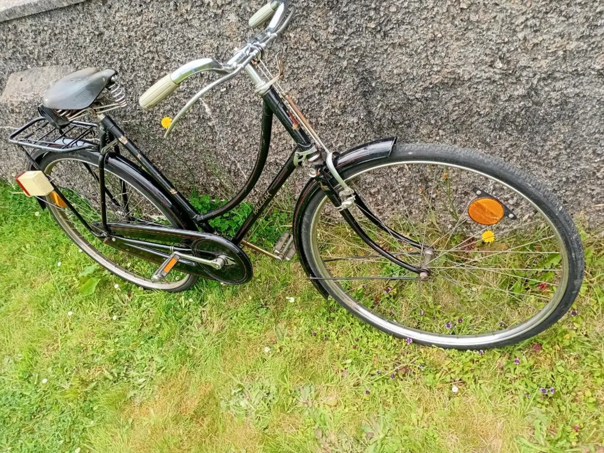 Adults Raleigh bike - Image 1