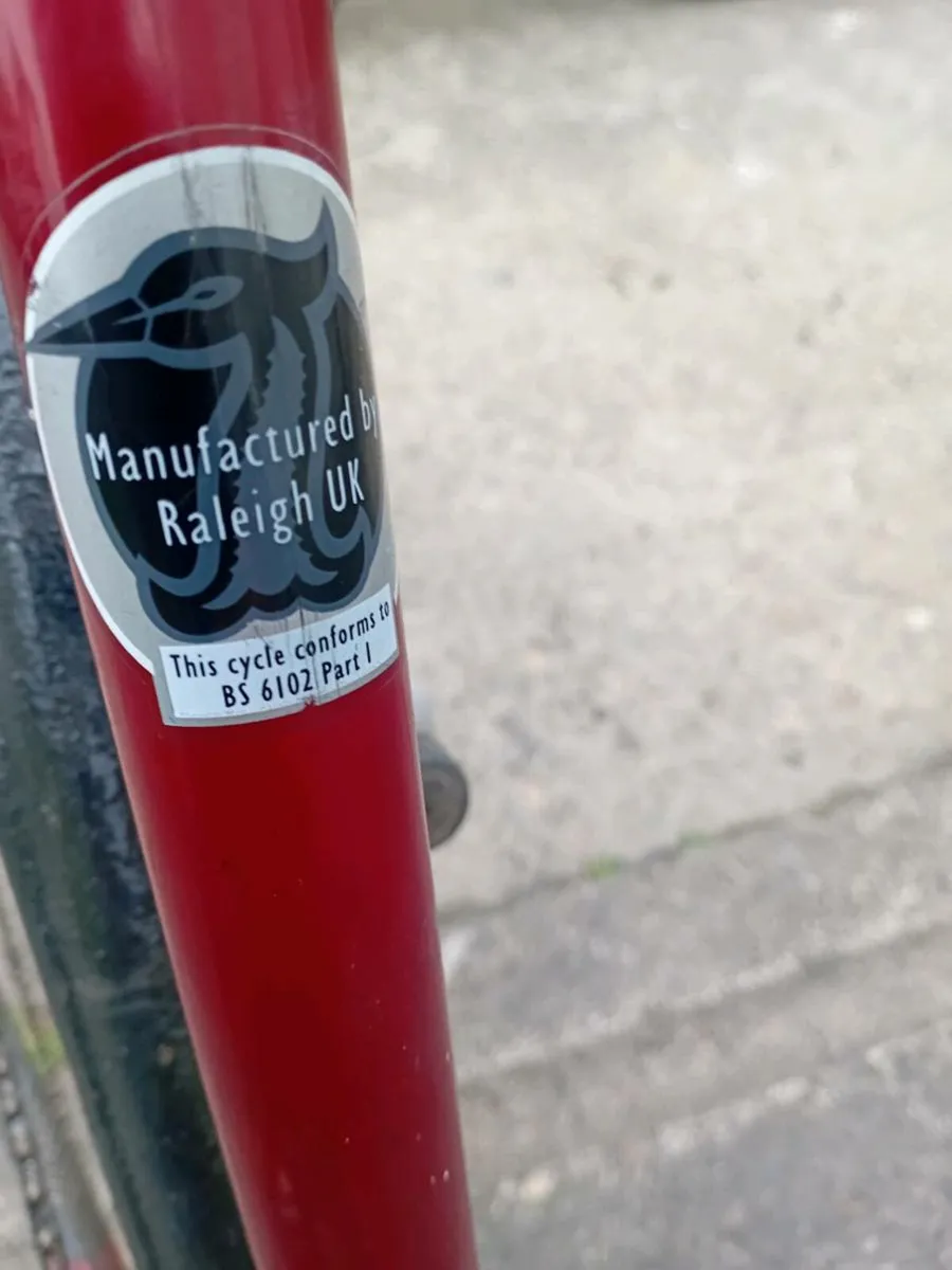 Adults bike - Image 2