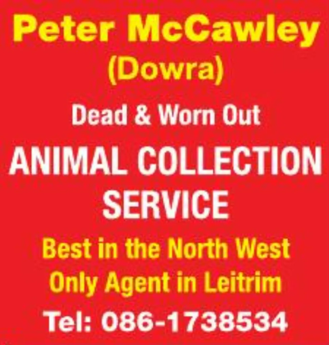 Dead Animal Collection - Image 2