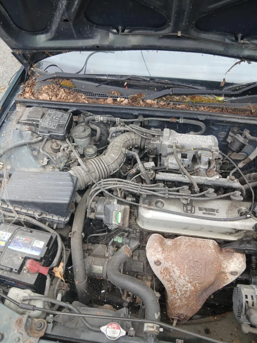 Honda acorad 1998 - Image 3