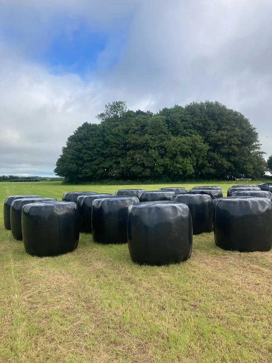 Organic (in conversation) Haylage