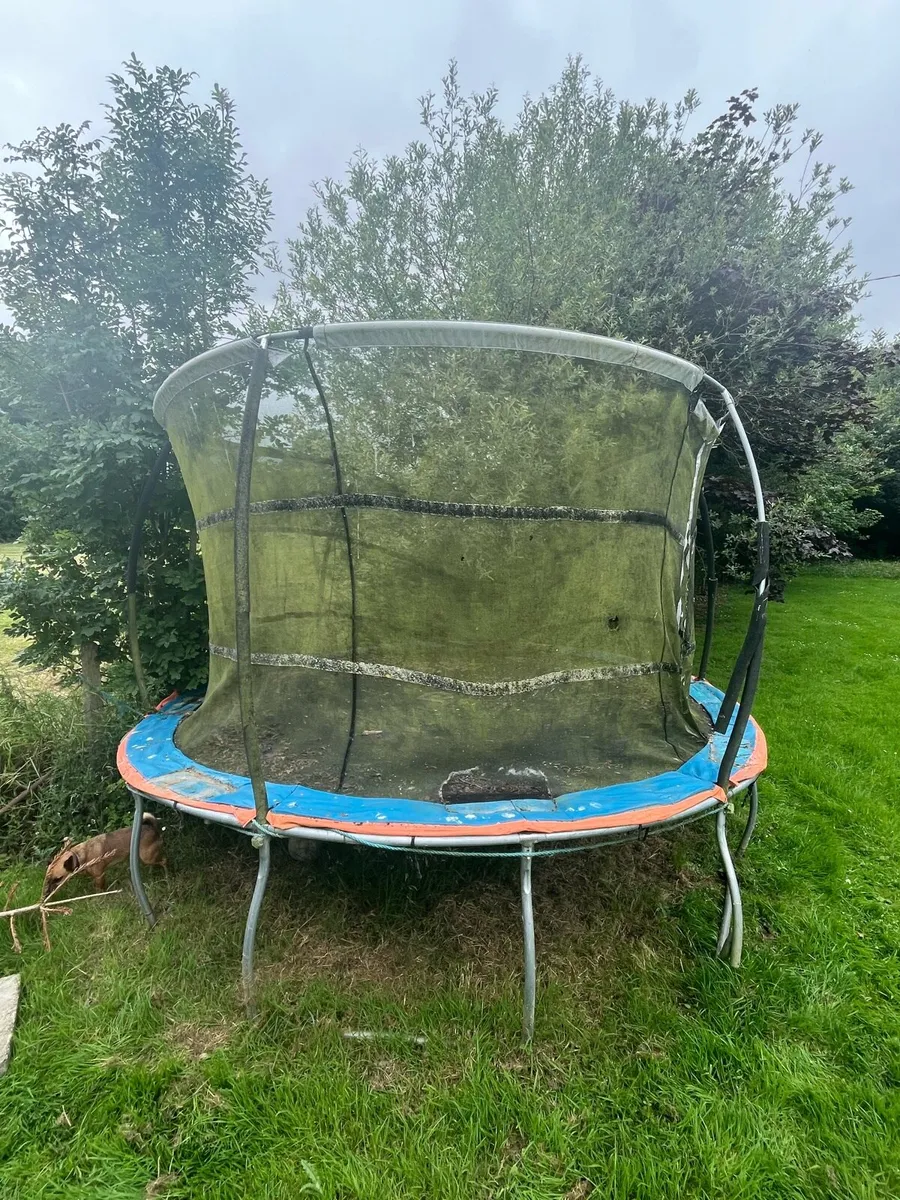 Trampoline - Image 2