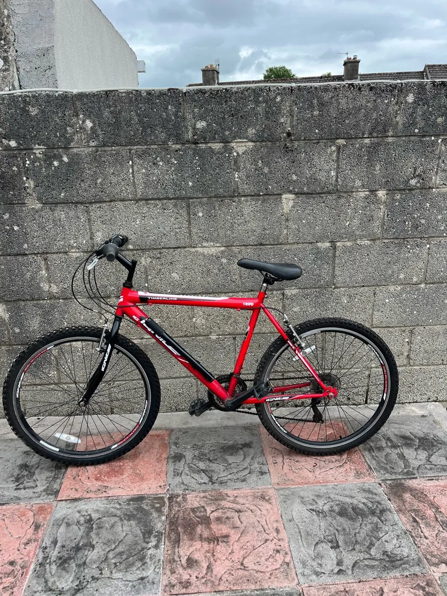 Mountain bike