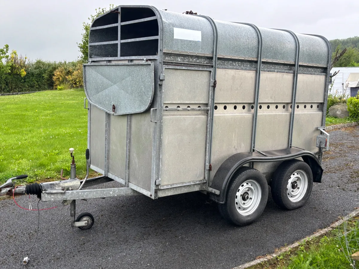 8x5 O Haire Livestock Trailer - Image 3