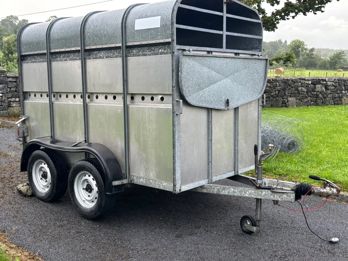 8x5 O Haire Livestock Trailer - Image 4