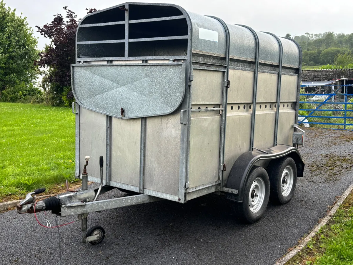 8x5 O Haire Livestock Trailer - Image 1