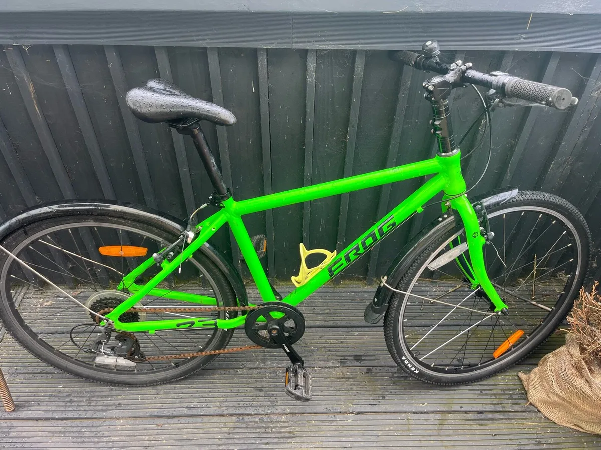 Large kids frog bike