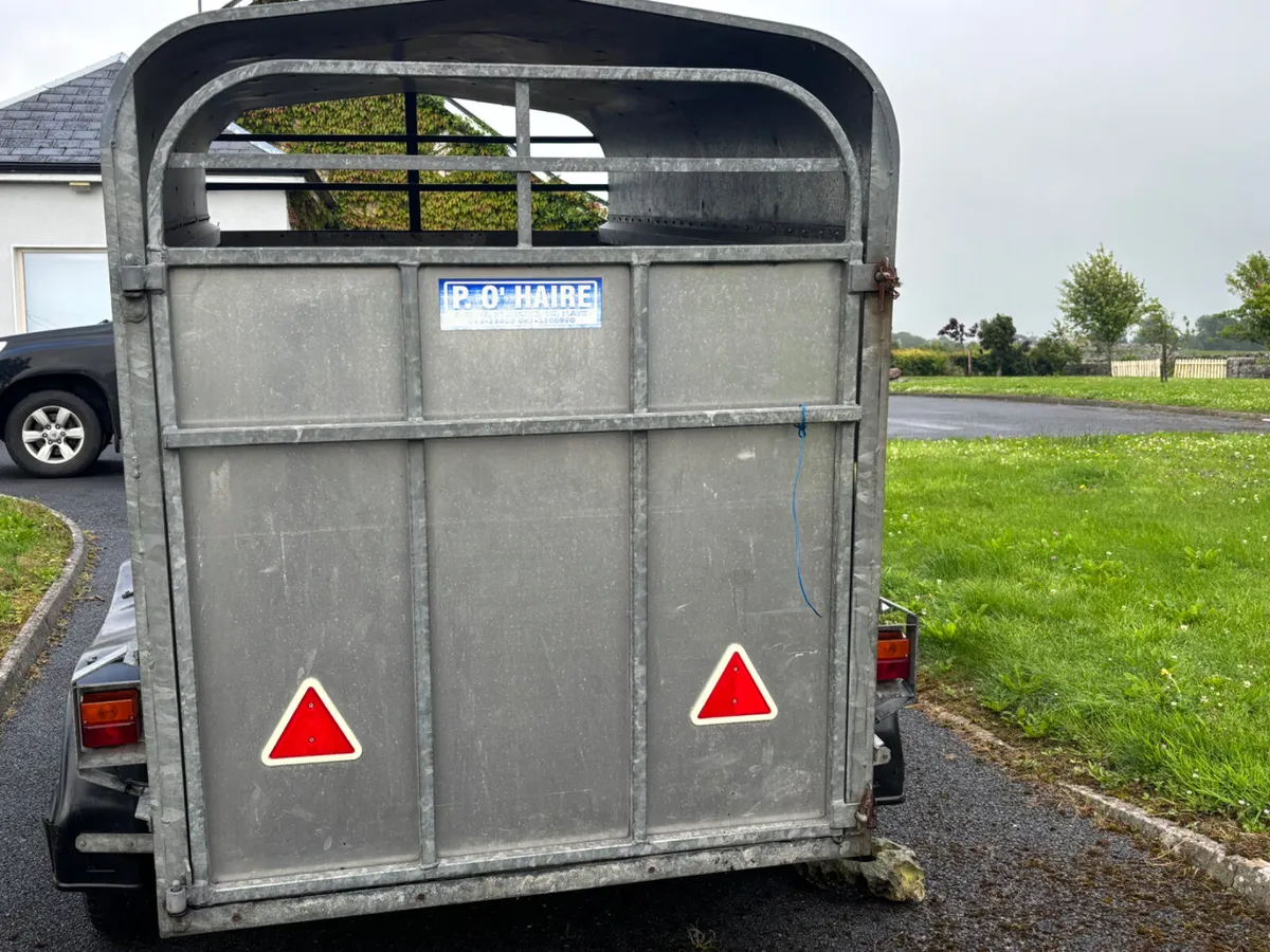 8x5 O Haire Livestock Trailer - Image 2
