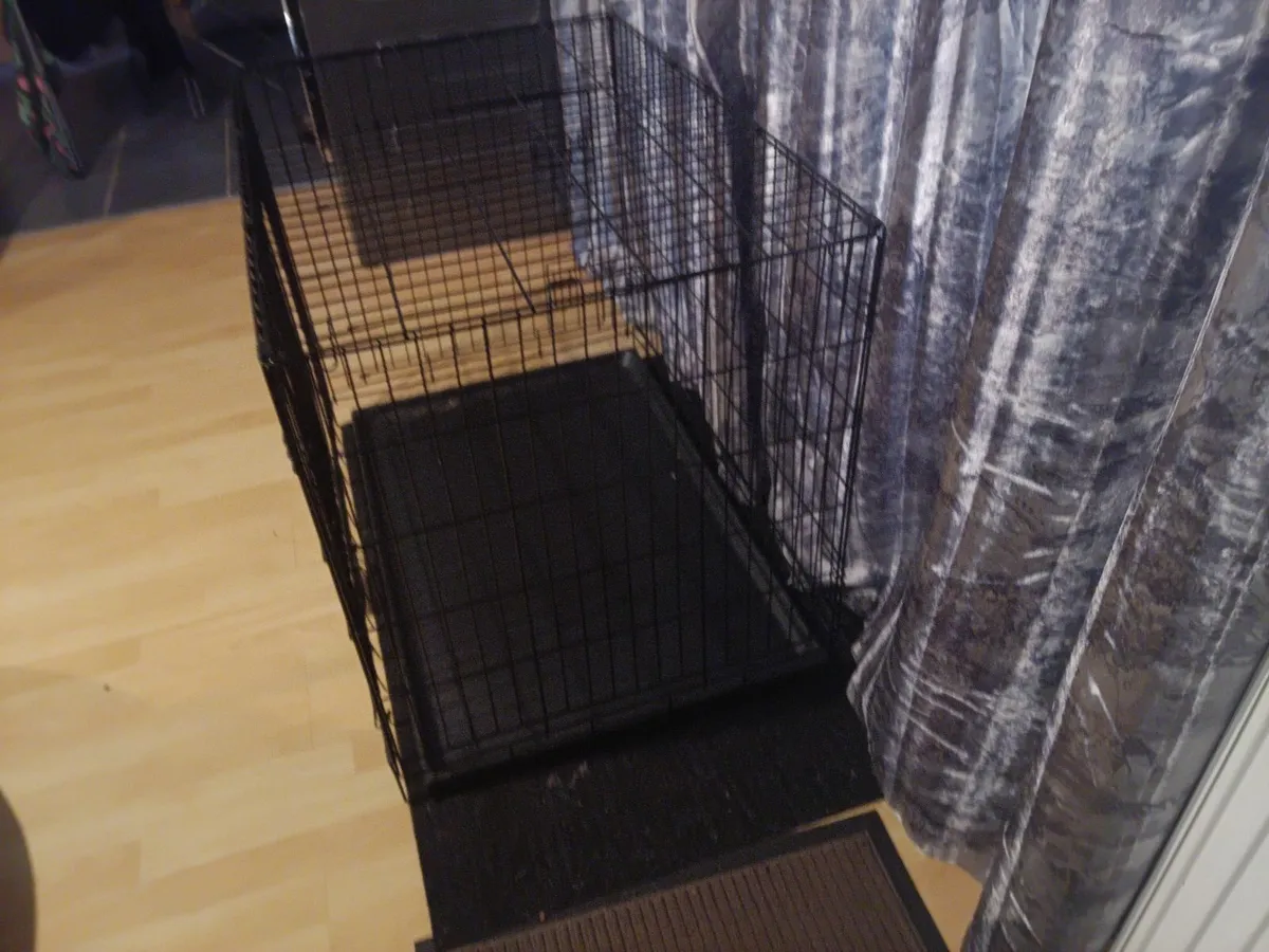 Dog cage - Image 2