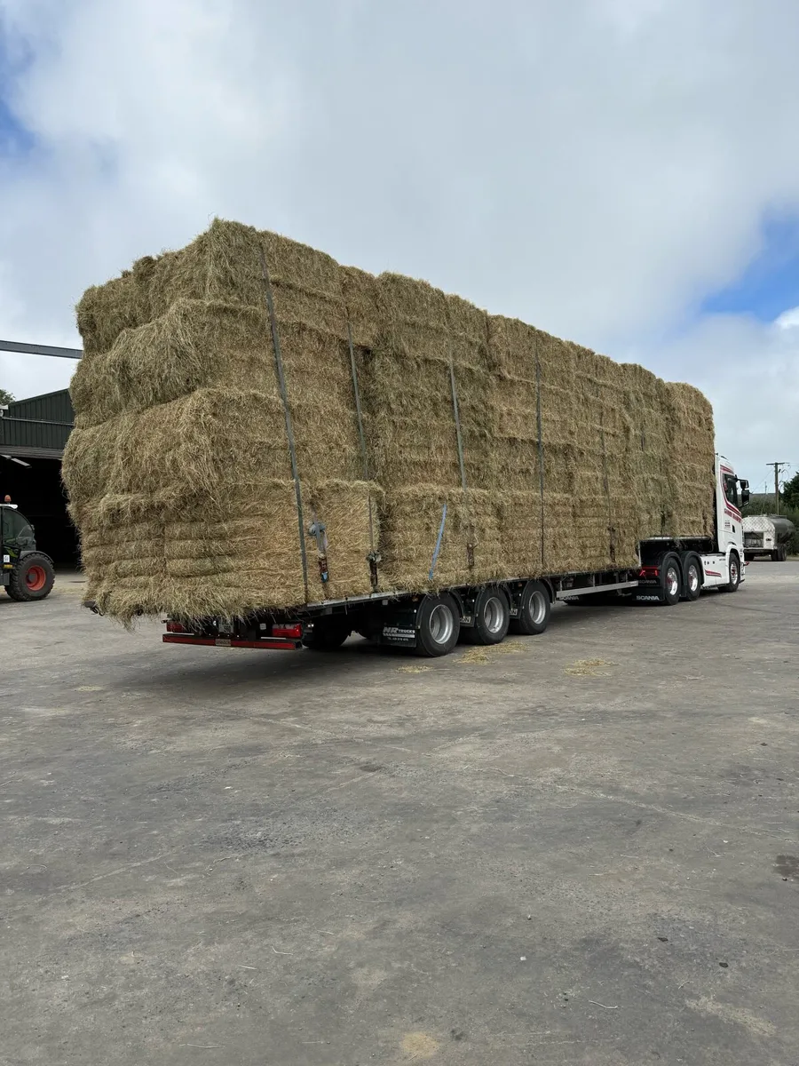 8x4x3 hay bales - Image 2