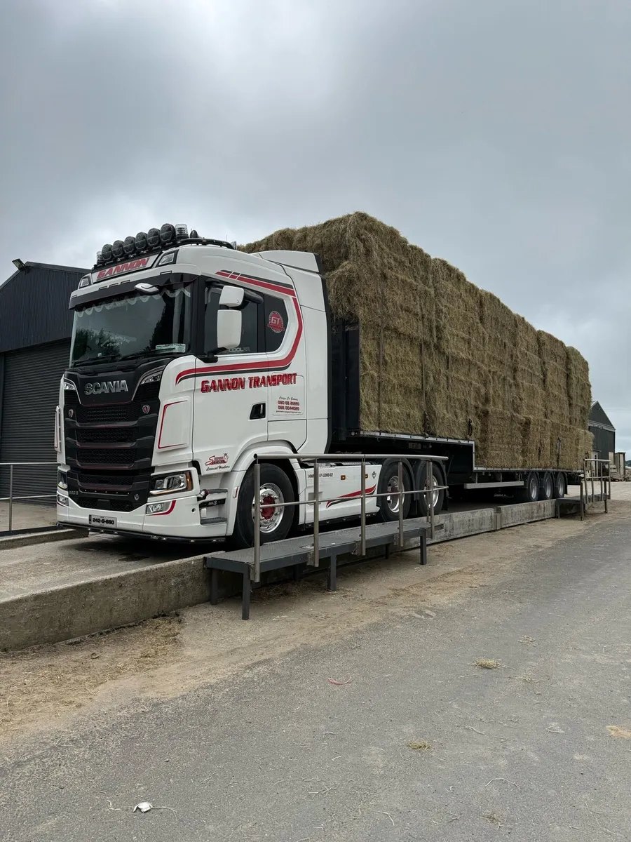 8x4x3 hay bales - Image 1